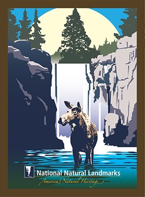 Graphic drawing of a moose standing in waterfall pool