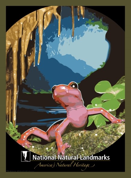 Graphic artwork of red salamander at cave entrance