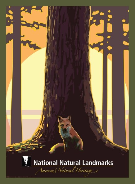 Graphic drawing of fox with trees
