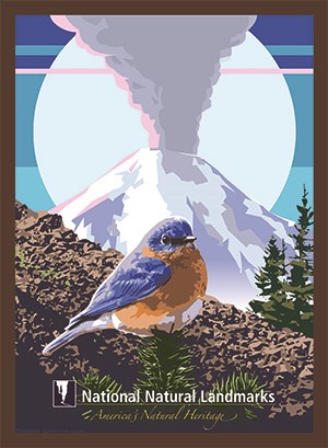 artwork of a blue bird with a volcano background