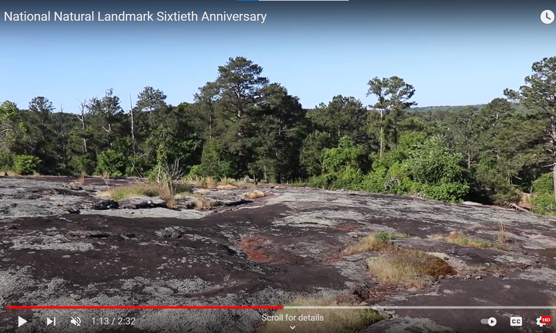 Image of granite rock outcrop in foreground and trees in background