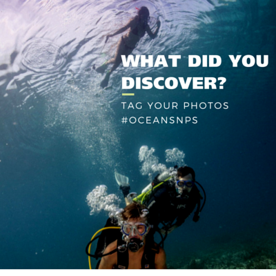 Snorkeler and divers at Dry Tortugas National Park. Text over photo: What did you discover? Tag your photos #oceansnps