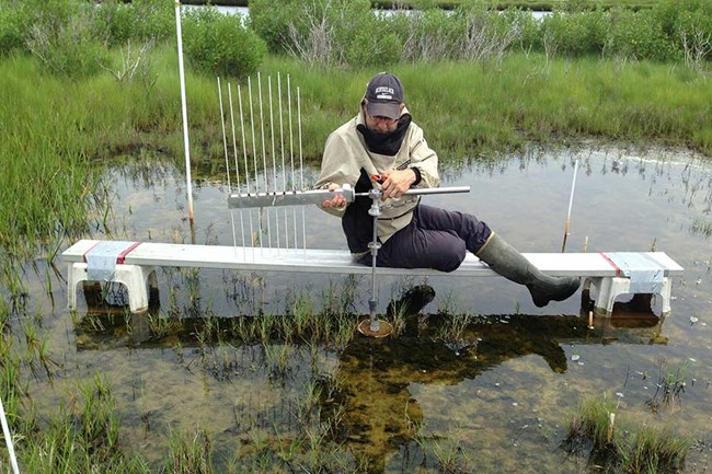 scientist testing the quality of water in a salt marsh