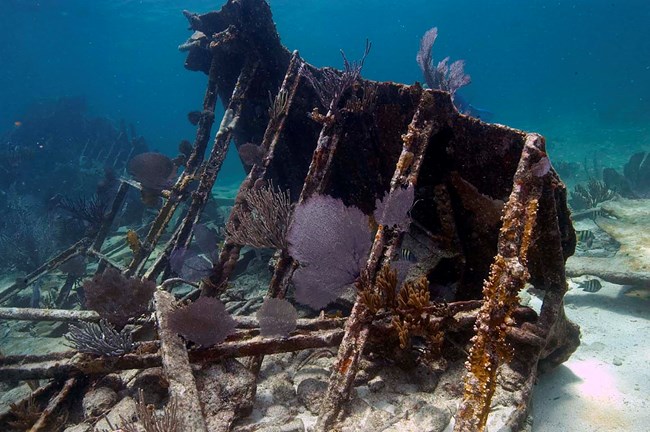 shipwreck underwater with corals growing on it