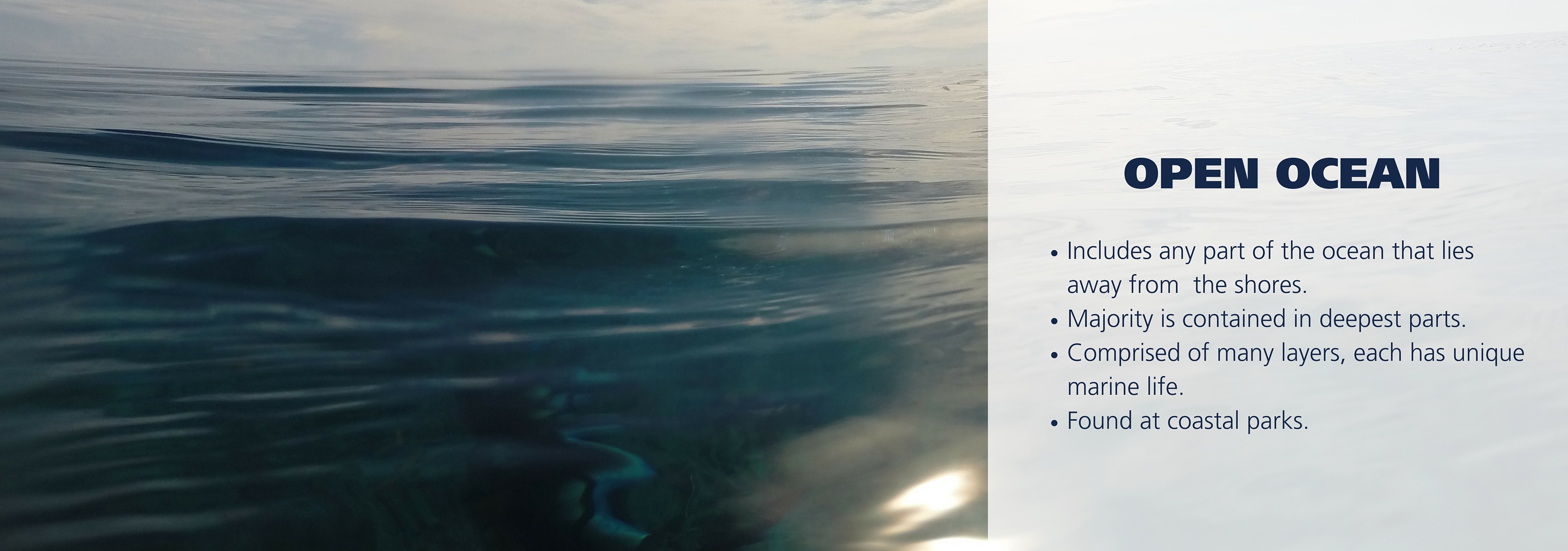 Water at the Dry Tortugas with text over image reading: Includes any part of the ocean that lies away from  the shores. Majority is contained in deepest parts.  Comprised of many layers, each has unique marine life.  Found at coastal parks.