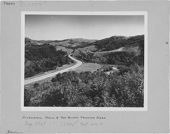 View from Alligator Back overlook to the Bluffs parking area, off Blue Ridge Parkway (June 1946)