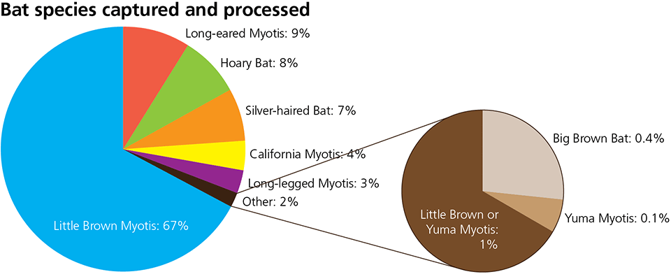 Percentage of bat species captured and processed during acoustic surveys in Glacier National Park from 2011 to 2016. Data are available in linked file.