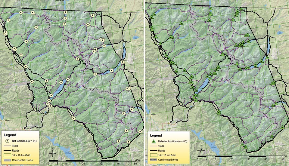 Map of Glacier National Park showing locations of (left) mist-nets and (right) acoustic detectors established for bat inventory and monitoring.