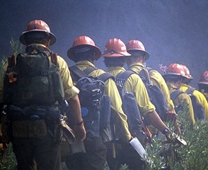 Several men walking in line with backs turned to camera, wearing yellow shirts and red hardhats