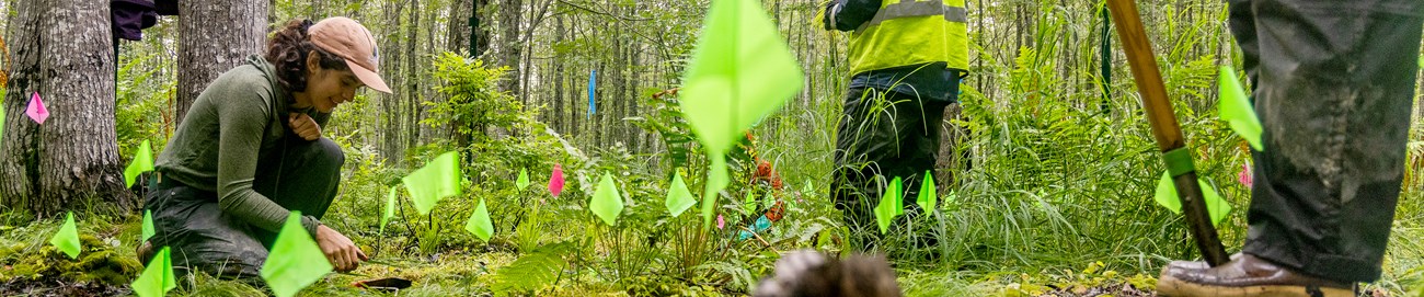 Woman kneeling among trees and plants surrounded by small green flags stuck in the ground