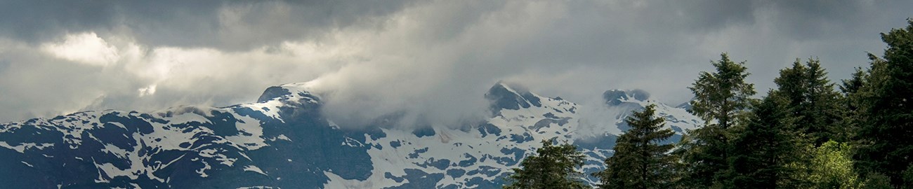 Snow-capped mountains with evergreen forests in the foreground