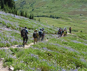 A sunlit mountain valley flanked by evergreen trees with a dirt path with many people dressed in hiking gear