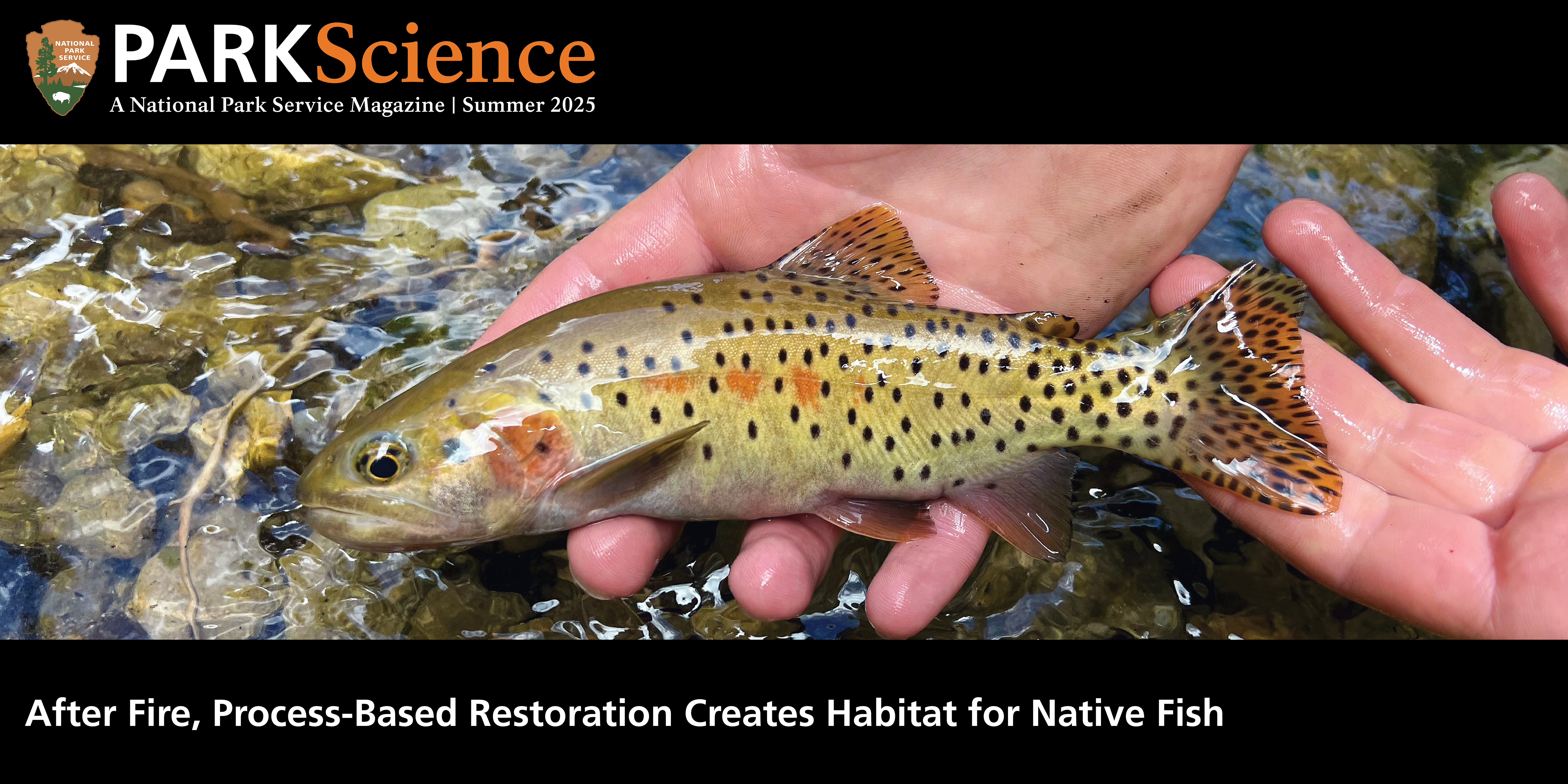 A hand holding a colorful, spotted fish