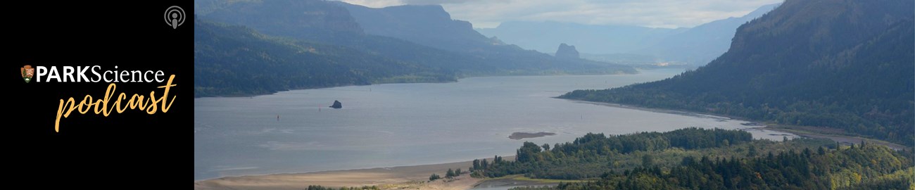 Misty scene of mountains over water with green vegetation in foreground