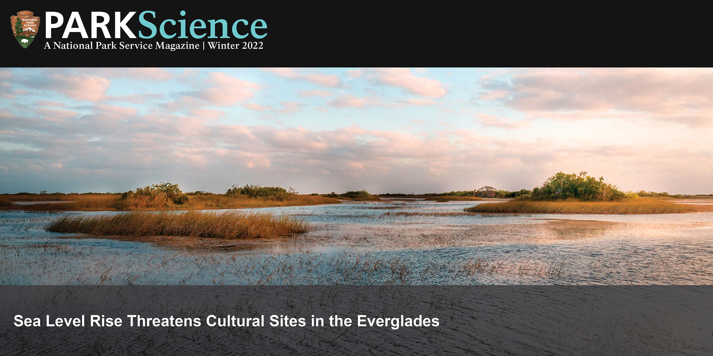 Park Science Cover Winter 2022