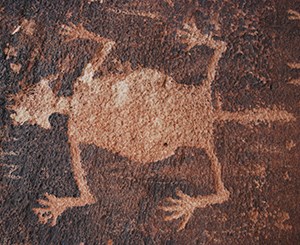 A light brown petroglyph of a creature with a tail on brown rock