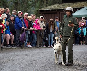 A female ranger in park service uniform holding a white dog on a leash and speaks to a crowd of people. Behind them is forest and a building with a moss-covered roof.