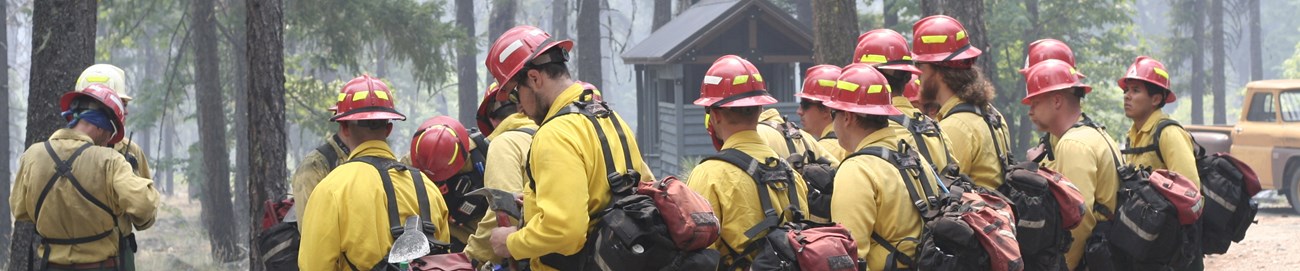 Group of men in yellow uniforms and red helmets standing in a forest