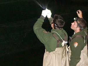 Two men in NPS uniforms standing in a lake or river at night. One of them has white gloves and if holding onto something caught in a net.