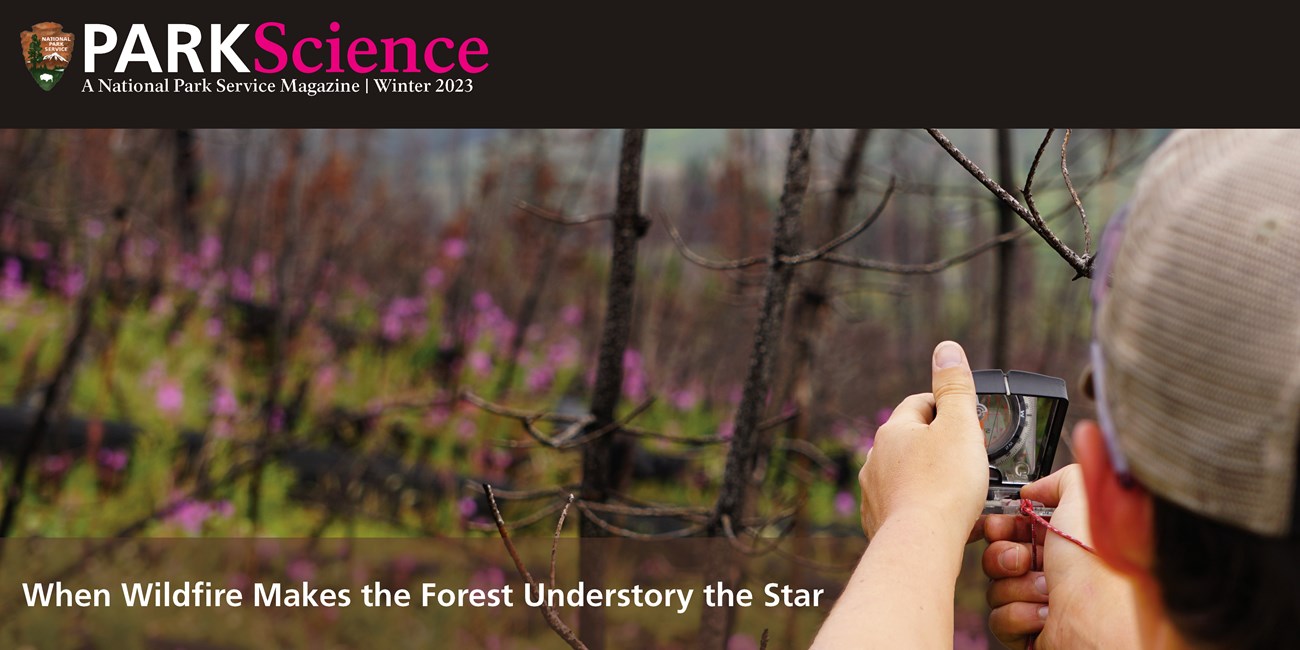 The Park Science logo on a black background and a picture of a woman in a ball cap with her head to the camera holds up an instrument in front of her face as she looks at a blurred landscape with burned twigs, green vegetation and purple flowers.