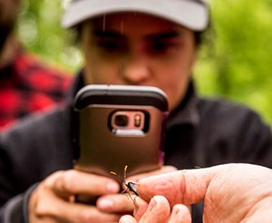 A young woman in baseball cap and black jacket takes a photo of an insect with her cell phone. A hand holds the insect in front of her.