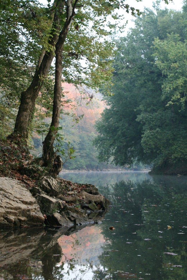 Green and autumn colored trees line a bend in a river.