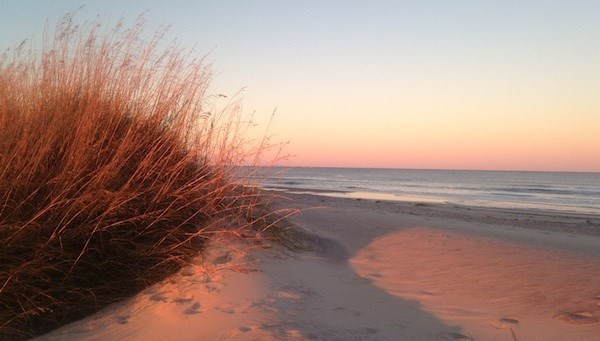 Orange sunset lights the beachgrasses and sand.