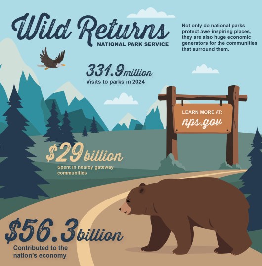 Graphic of a roadway and wildlife in a national park with title, "Wild Returns." Text in the infographic explains that not only do national parks protect awe-inspiring places, they are also huge generators for the communities that surround them.