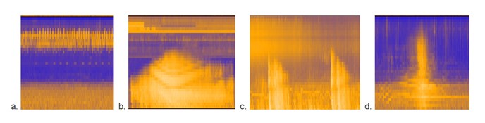 Four spectrograms show frequency, duration, and loudness of different sounds.
