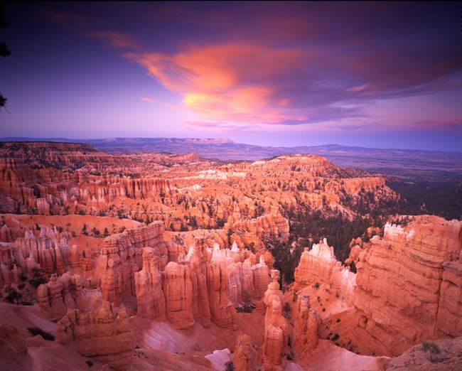 A pink and purple sunset over the red spires of Bryce Canyon's hoodoos