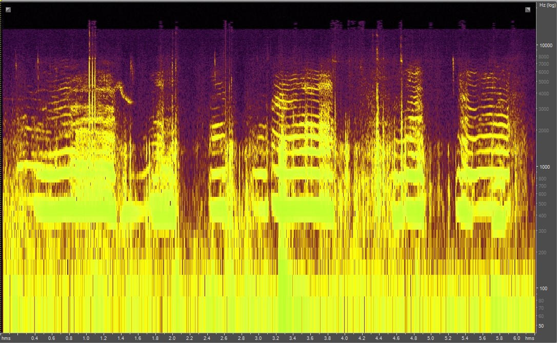 Spectrogram of a mother bear and cubs