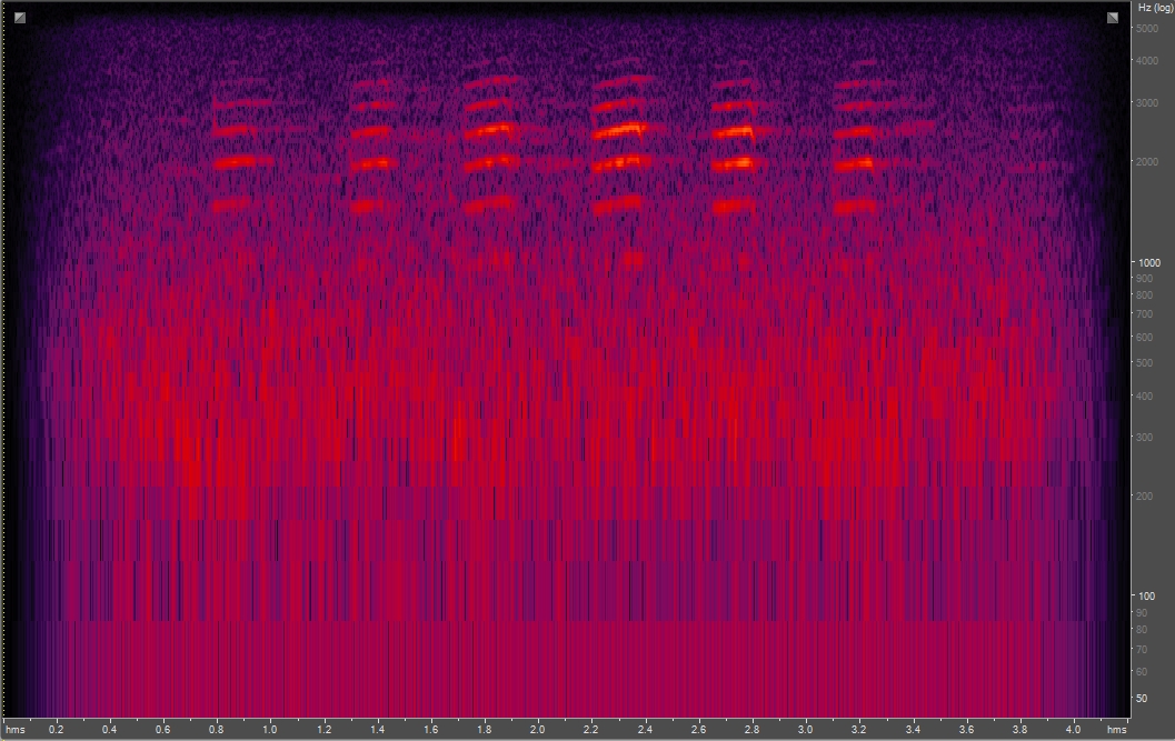 Spectrogram of red-breasted nuthatch