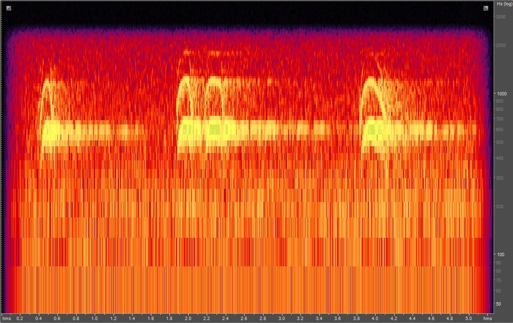 Spectrogram of Northern spotted owl