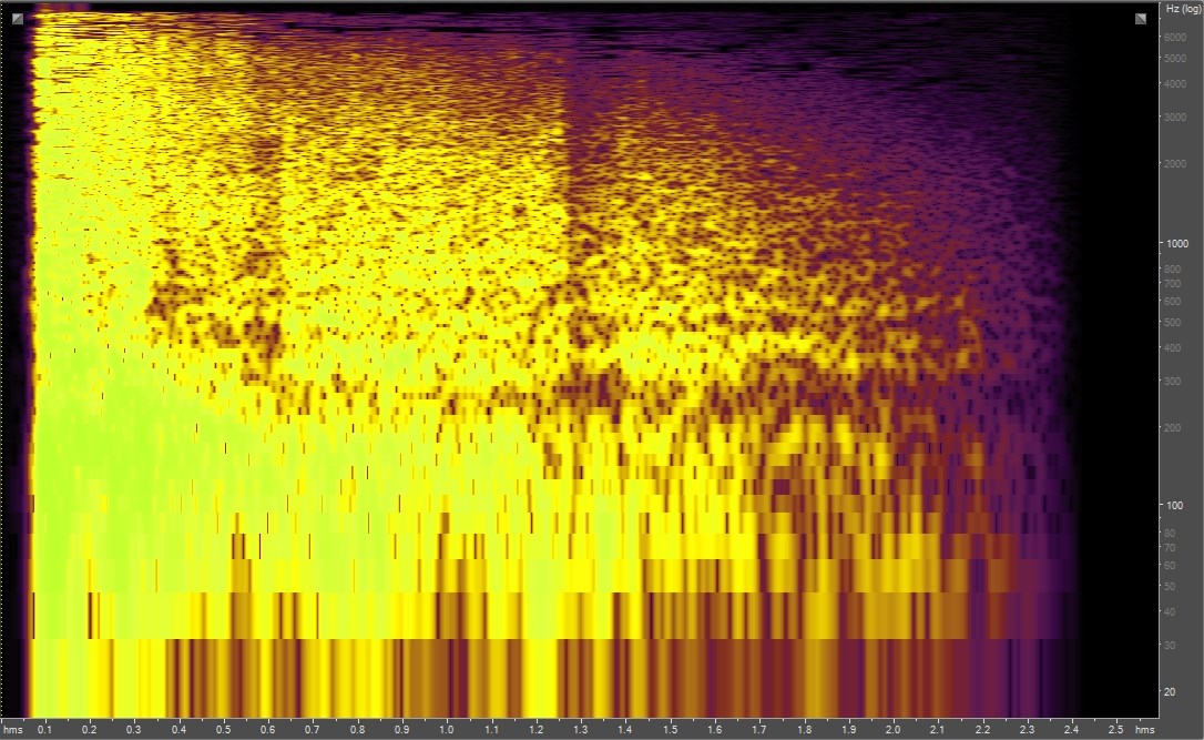 Spectrogram of cannon fire