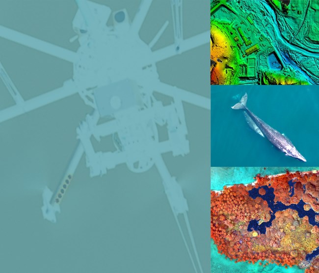 poster image shows ghosted drone and aerial images of land and a whale