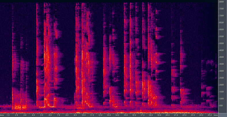 Spectrogram of 'Ua'u