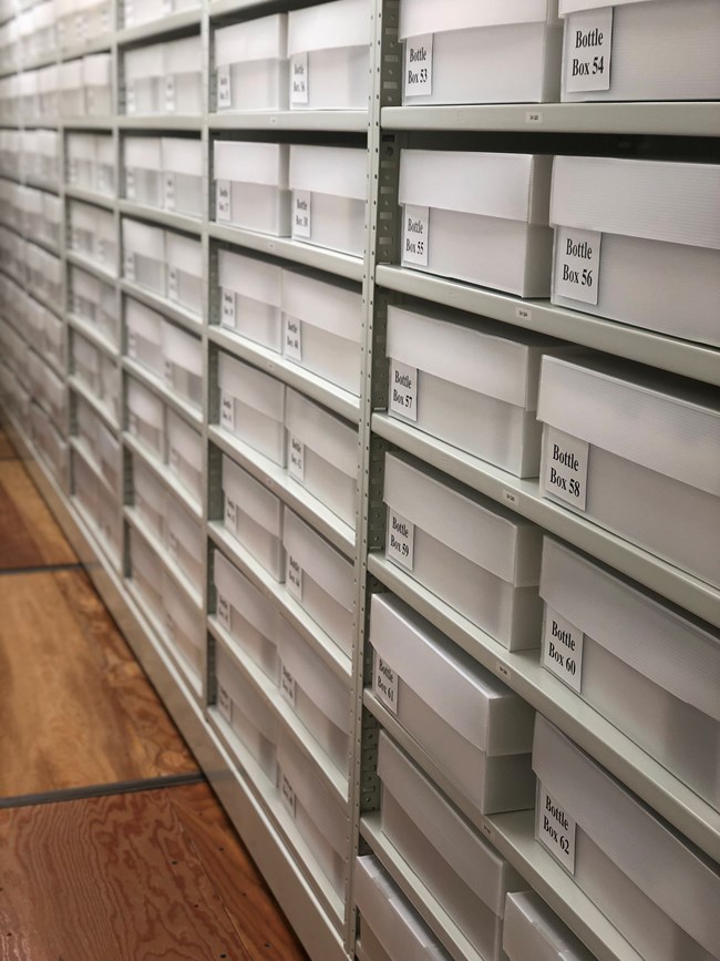 Storage shelves inside of the collections storage area