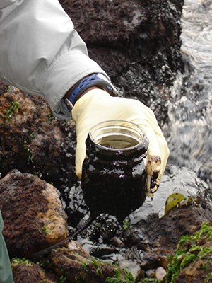 gloved hands holding jar of thick and sludge-like oil