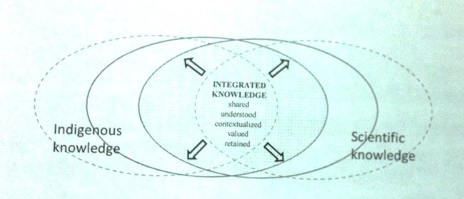 Knowledge chart