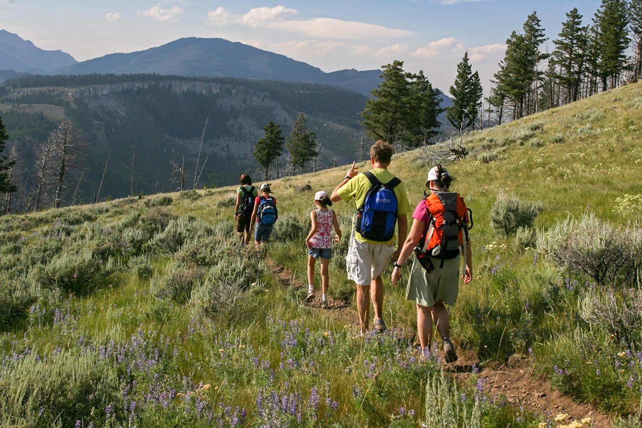 two adults and three kids hike down a mountain trail