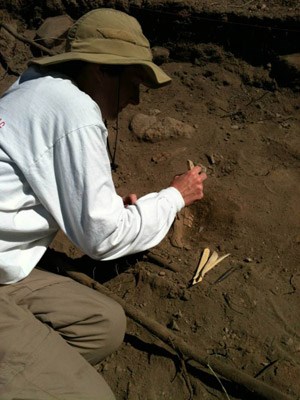 Archeologist excavating a cow jaw in the Mission Guevavi midden.