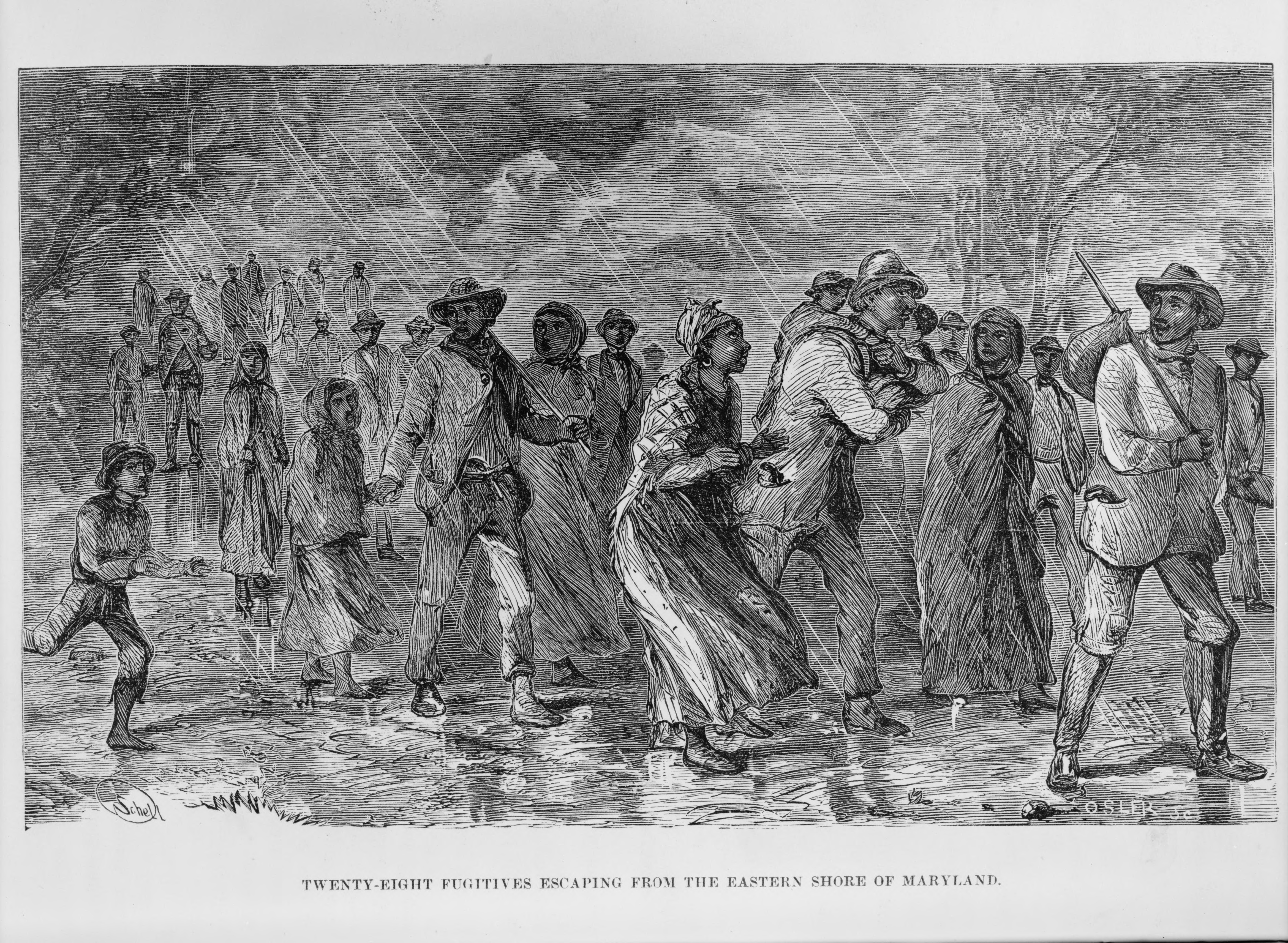 american slavery american freedom the ordeal of colonial virginia