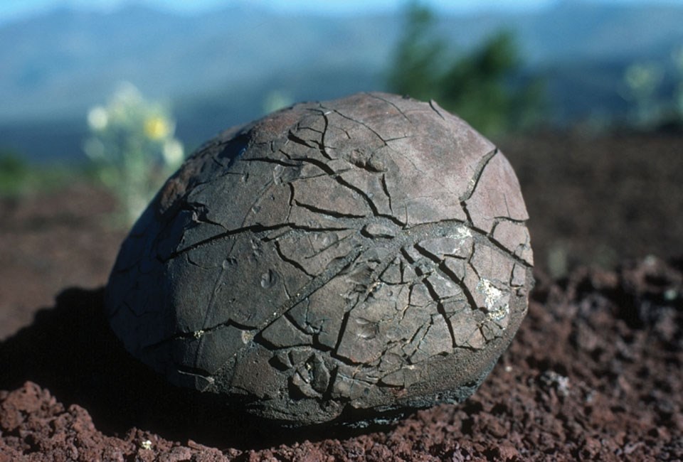 rounded rock with a cracked surface