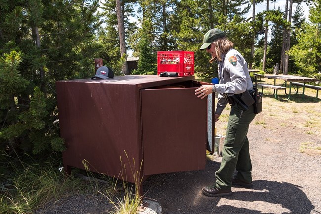 a park ranger looks inside a bear box in a campsite