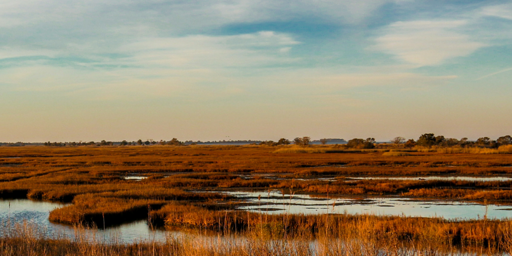 About Wetlands - Wetlands (U.S. National Park Service)