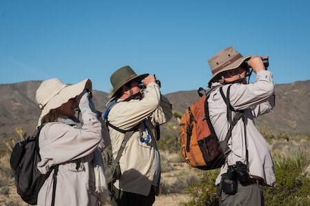 People watch birds with binoculars.