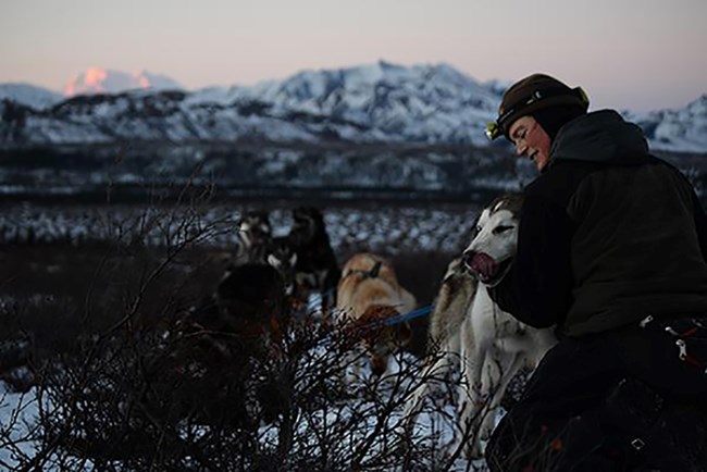 Jen Rafaelli checks on a sled dog in the wilderness.
