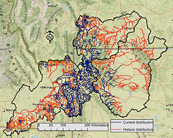 The historic and current distribution of Yellowstone cutthroat trout within the Greater Yellowstone Area in Montana, Wyoming, Idaho, Utah, and Nevada.