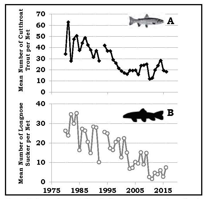 Non-native Lake Trout Induce Cascading Changes In The Yellowstone Lake ...