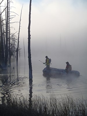 Fisheries staff conduct electroshock fishing operations in Goose Lake on a foggy morning.